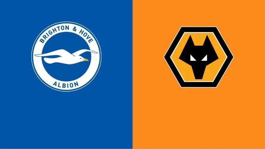 中国人直播免费视频