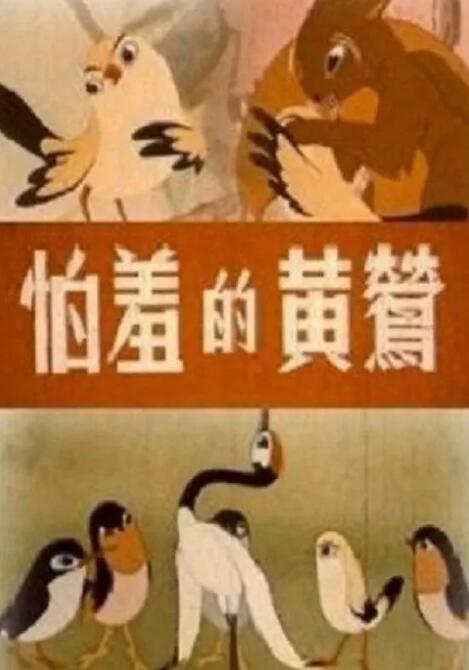 美女视频污