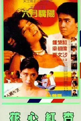 仙踪林网站欢迎您婚纱摄影