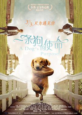 花和尚综合