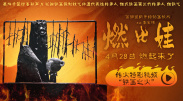 九九免费高清在线观看视频