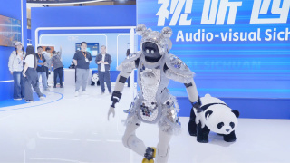 第二名的逆袭第二季免费观看